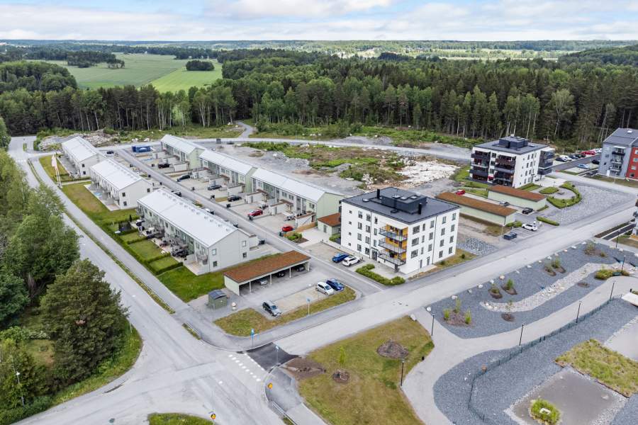 Vision om Bålbroskogen